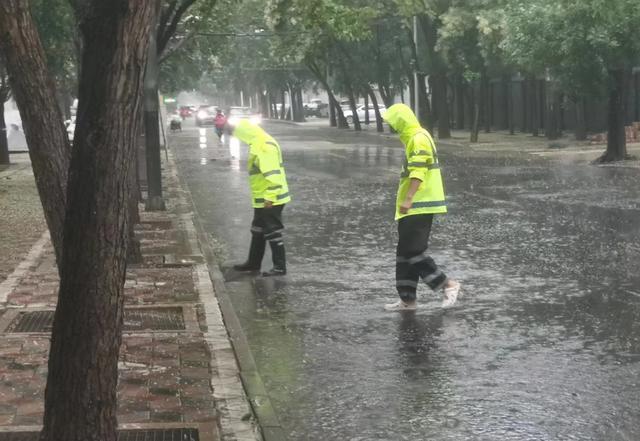 防汛常規物資中主要包含麻袋吸水膨脹袋,無紡布吸水膨脹袋,防汛沙袋,防汛噸袋,防汛編織袋,雨衣,雨靴,雨傘,彩條布,工兵鏟,十字鎬,八磅錘,應急救生包等。