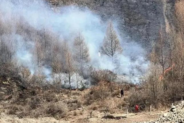 明火已撲滅，初步判斷由祭祀用火引發！今年已發生多起